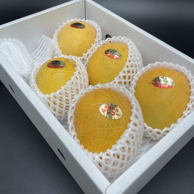 【2026年7月から順次発送・家庭用】名物おじーが作る幻の金蜜マンゴー2kg(4〜6玉)【配送不可地域：離島】【1694702】