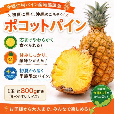 【発送月固定定期便】今帰仁村パイン産地協議会 3種のパイナップルの食べ比べ全3回【配送不可地域：離島】【4086626】