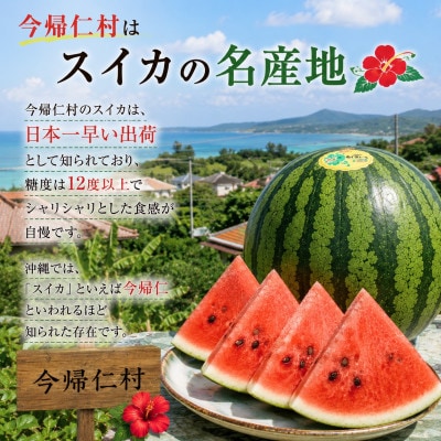 縲2027蟷エ1譛井クュ譌ャ繧医j鬆谺。逋コ騾√大ャ縺ォ鬟溘∋繧句ケサ縺ョ繧ケ繧、繧ォ 縺ャ縺。縺舌☆縺繝シ縺ィ 1邇(4.5kg莉・荳)縲1744600縲