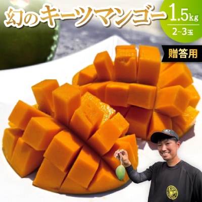 【2026年8月下旬から順次発送・贈答用】みなとばる農園の幻のキーツマンゴー1.5kg(2〜3玉)【配送不可地域：離島】【1593000】