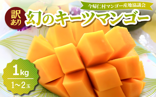【2026年8月中旬から順次発送・訳あり】今帰仁産の幻のキーツマンゴー1kg(1〜2玉)【配送不可地域：離島】【4014741】