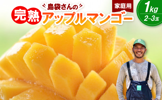 【2026年7月上旬から順次発送・家庭用】島袋さんの完熟アップルマンゴー 1kg(2〜3玉)【配送不可地域：離島】【1726286】