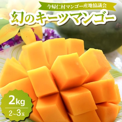 【2026年8月中旬から順次発送】今帰仁産の幻のキーツマンゴー2kg(2〜3玉)【配送不可地域：離島】【4014740】