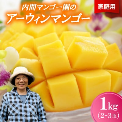 【2026年7月から順次発送・家庭用】内間マンゴー園のアーウィンマンゴー1kg(2〜3玉)【配送不可地域：離島】【1695323】