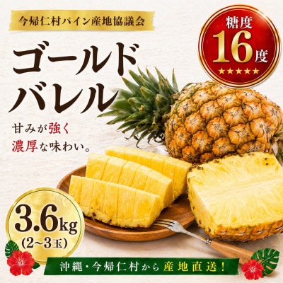 【2026年6月下旬から順次発送】今帰仁村パイン産地協議会 ゴールドバレル3.6kg(2〜3玉)【配送不可地域：離島】【1734540】