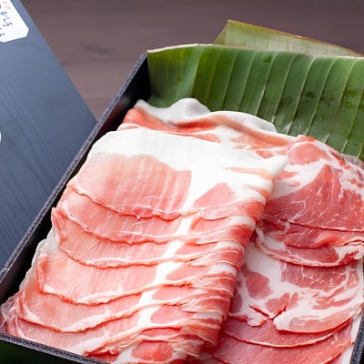 【熨斗付き】今帰仁アグーしゃぶしゃぶ2種食べ比べセット 500g(ももロース・バラ 各250g)【配送不可地域：離島】【1733519】