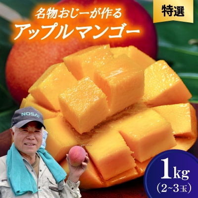 【2026年7月から順次発送・特選】名物おじーが作るアップルマンゴー1kg(2〜3玉)【配送不可地域：離島】【1694691】