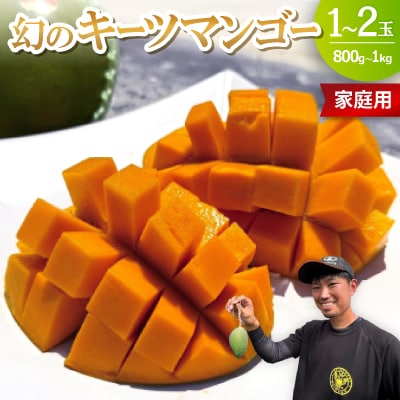 【2026年8月下旬から順次発送・家庭用】みなとばる農園の幻のキーツマンゴー800g〜1.0kg【配送不可地域：離島】【1592999】