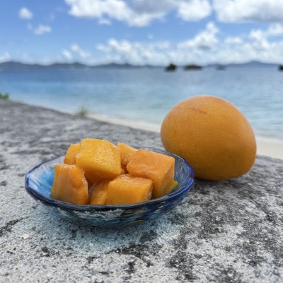 山城フルーツ園の冷凍3種マンゴー食べ比べセット(アップルマンゴー・キーツマンゴー・金蜜マンゴー)【配送不可地域：離島】【1662752】