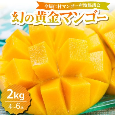 【2026年7月中旬から順次発送】今帰仁産の幻の黄金マンゴー2kg(4〜6玉)【配送不可地域：離島】【4014735】