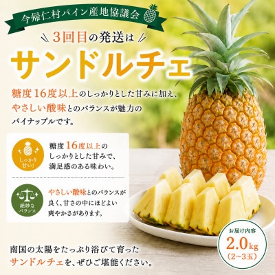 【発送月固定定期便】今帰仁村パイン産地協議会 3種のパイナップルの食べ比べ全3回【配送不可地域：離島】【4086626】