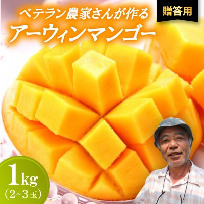 【2026年7月から順次発送・贈答用】ベテラン農家さんが作る アーウィンマンゴー1kg(2〜3玉)【配送不可地域：離島】【1695284】
