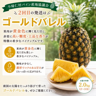 【発送月固定定期便】今帰仁村パイン産地協議会 3種のパイナップルの食べ比べ全3回【配送不可地域：離島】【4086626】