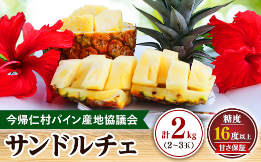 【2027年8月上旬から順次発送】今帰仁村パイン産地協議会 サンドルチェ2.0kg(2〜3玉)【配送不可地域：離島】【1734541】