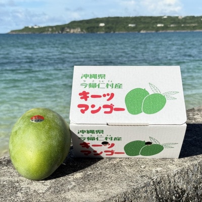 【2026年8月下旬から順次発送・家庭用】みなとばる農園の幻のキーツマンゴー800g〜1.0kg【配送不可地域：離島】【1592999】