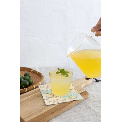 【沖縄県産】南島果汁 県産シークヮーサー&タンカン【1477171】