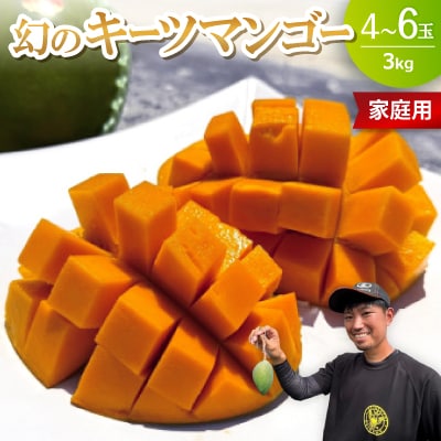 【2026年8月下旬から順次発送・家庭用】みなとばる農園の幻のキーツマンゴー3.0kg(4〜6玉)【配送不可地域：離島】【1699840】