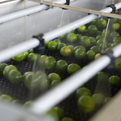 【果汁100%】皮ごとまるごとシークヮーサー500ml×2本セット【1342199】