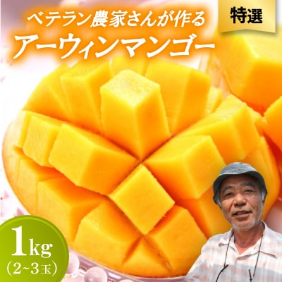 【2026年7月から順次発送・特選】ベテラン農家さんが作る アーウィンマンゴー1kg(2〜3玉)【配送不可地域：離島】【1695292】