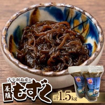 古宇利島産の養殖もずく1.5kg(500g×3P)【配送不可地域：離島】【1483941】