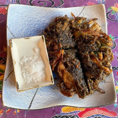 古宇利島産の養殖もずく5.0kg【配送不可地域：離島】【1483943】