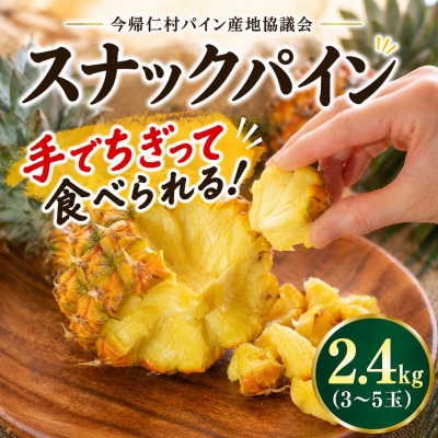 【2026年5月中旬から順次発送】今帰仁村パイン産地協議会 スナックパイン2.4kg(3〜5玉)【配送不可地域：離島】【1734538】