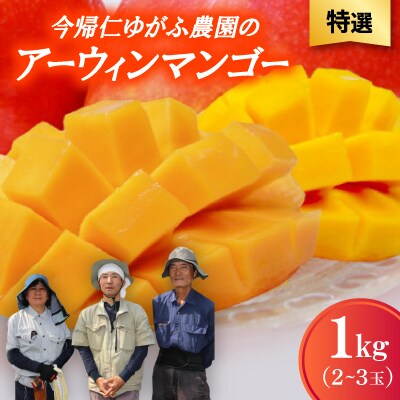 【2026年7月から順次発送・特選】今帰仁ゆがふ農園のアーウィンマンゴー1kg(2〜3玉)【配送不可地域：離島】【1694714】