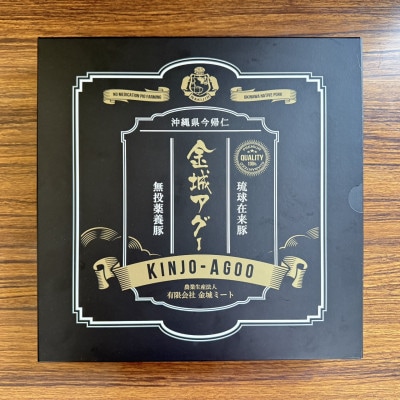 【琉球在来種・無投薬養豚】金城アグーハンバーグ 120g×8個【配送不可地域：離島】【1731178】
