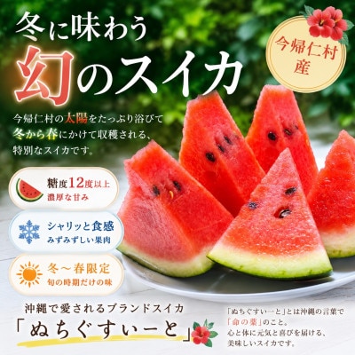 縲2027蟷エ1譛井クュ譌ャ繧医j鬆谺。逋コ騾√大ャ縺ォ鬟溘∋繧句ケサ縺ョ繧ケ繧、繧ォ 縺ャ縺。縺舌☆縺繝シ縺ィ 1邇(4.5kg莉・荳)縲1744600縲