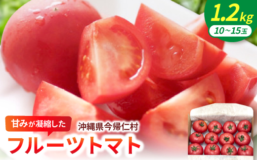 【2027年2月中旬から順次発送】甘みが凝縮したフルーツトマト1.2kg(10玉〜15玉)【1726083】