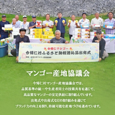 【2026年6月下旬から順次発送】今帰仁産の特選アップルマンゴー1kg(2〜3玉)【配送不可地域：離島】【4014732】