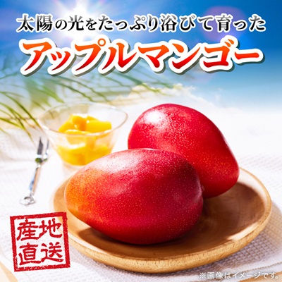 【2026年6月下旬から順次発送・訳あり】今帰仁産のアップルマンゴー1kg(2〜4玉)【配送不可地域：離島】【4014742】