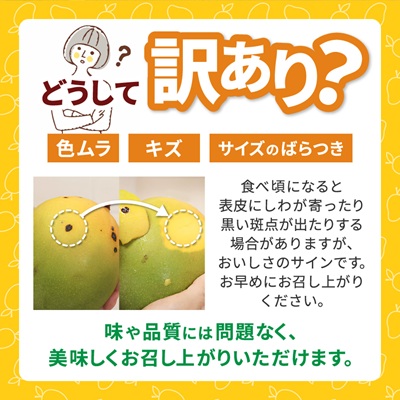 【2026年8月中旬から順次発送・訳あり】今帰仁産の幻のキーツマンゴー1kg(1〜2玉)【配送不可地域：離島】【4014741】