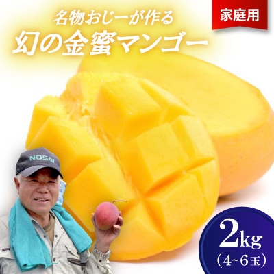 【2026年7月から順次発送・家庭用】名物おじーが作る幻の金蜜マンゴー2kg(4〜6玉)【配送不可地域：離島】【1694702】