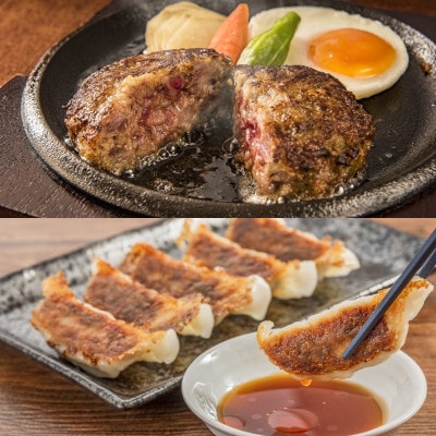 【幻の豚 今帰仁アグー使用】アグー餃子12個×2P&アグーハンバーグ120g×4個【配送不可地域：離島】【1731173】