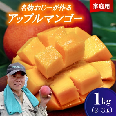 【2026年7月から順次発送・家庭用】名物おじーが作るアップルマンゴー1kg(2〜3玉)【配送不可地域：離島】【1694643】
