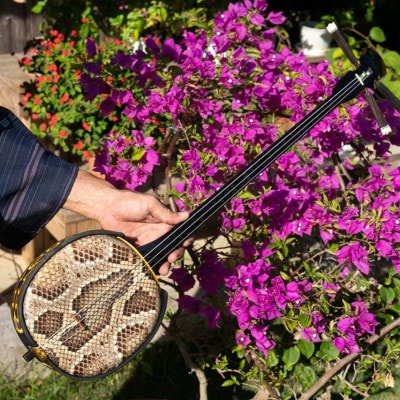 äžé£å¶ºäžç·æå®€ äœéšã¬ãã¹ã³(2åæ§/çŽ60ã70å)ã1729524ã