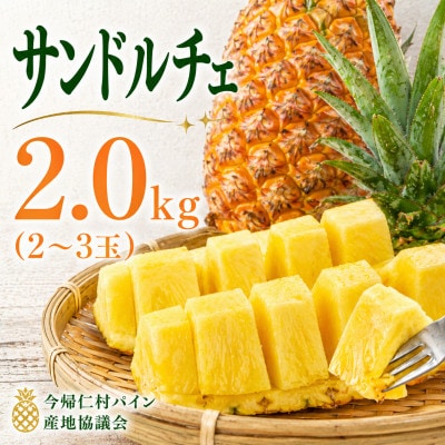 【2026年8月上旬から順次発送】今帰仁村パイン産地協議会 サンドルチェ2.0kg(2〜3玉)【配送不可地域：離島】【1734541】