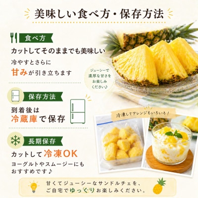 【2026年8月上旬から順次発送】今帰仁村パイン産地協議会 サンドルチェ2.0kg(2〜3玉)【配送不可地域：離島】【1734541】