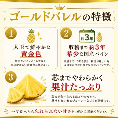 【2026年6月下旬から順次発送】今帰仁村パイン産地協議会 ゴールドバレル3.6kg(2〜3玉)【配送不可地域：離島】【1734540】