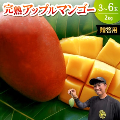 【2026年6月下旬から順次発送・贈答用】みなとばる農園の完熟アップルマンゴー2kg(3〜6玉)【配送不可地域：離島】【1700018】