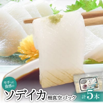 モチっとした新食感!ソデイカ柵真空パック 200〜250g×5本【配送不可地域：離島】【1483967】