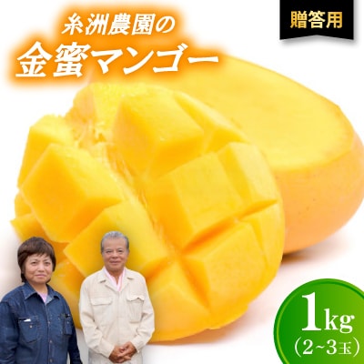 【2026年7月から順次発送・贈答用】糖度20度以上!糸洲農園の金蜜マンゴー1kg(2〜3玉)【配送不可地域：離島】【1694629】