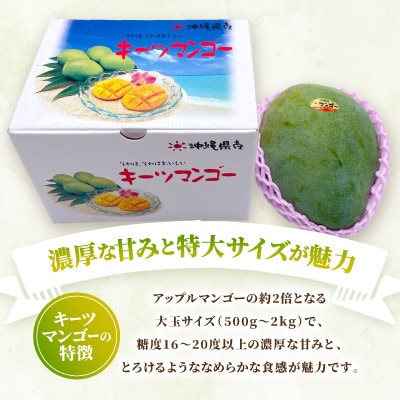 【2026年8月中旬から順次発送・訳あり】今帰仁産の幻のキーツマンゴー1kg(1〜2玉)【配送不可地域：離島】【4014741】