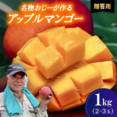 【2026年7月から順次発送・贈答用】名物おじーが作るアップルマンゴー1kg(2〜3玉)【配送不可地域：離島】【1694660】