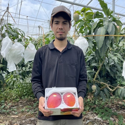 【2026年6月から順次発送・家庭用】仲本マンゴー園のアーウィンマンゴー1kg(2〜3玉)【配送不可地域：離島】【1439395】