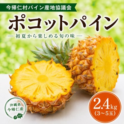 【2026年5月中旬から順次発送】今帰仁村パイン産地協議会 ポコットパイン2.4kg(3〜5玉)【配送不可地域：離島】【1734538】