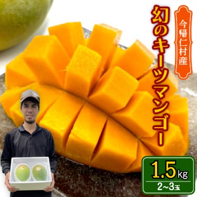 【先行受付・2026年8月から順次発送】仲本マンゴー園の幻のキーツマンゴー1.5kg【配送不可地域：離島】【1418219】