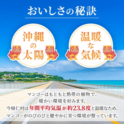 【2026年8月中旬から順次発送】今帰仁産の幻のキーツマンゴー800g(1〜2玉)【配送不可地域：離島】【4014738】