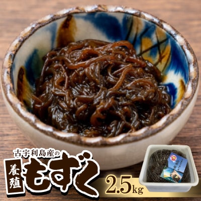 古宇利島産の養殖もずく2.5kg【配送不可地域：離島】【1483942】